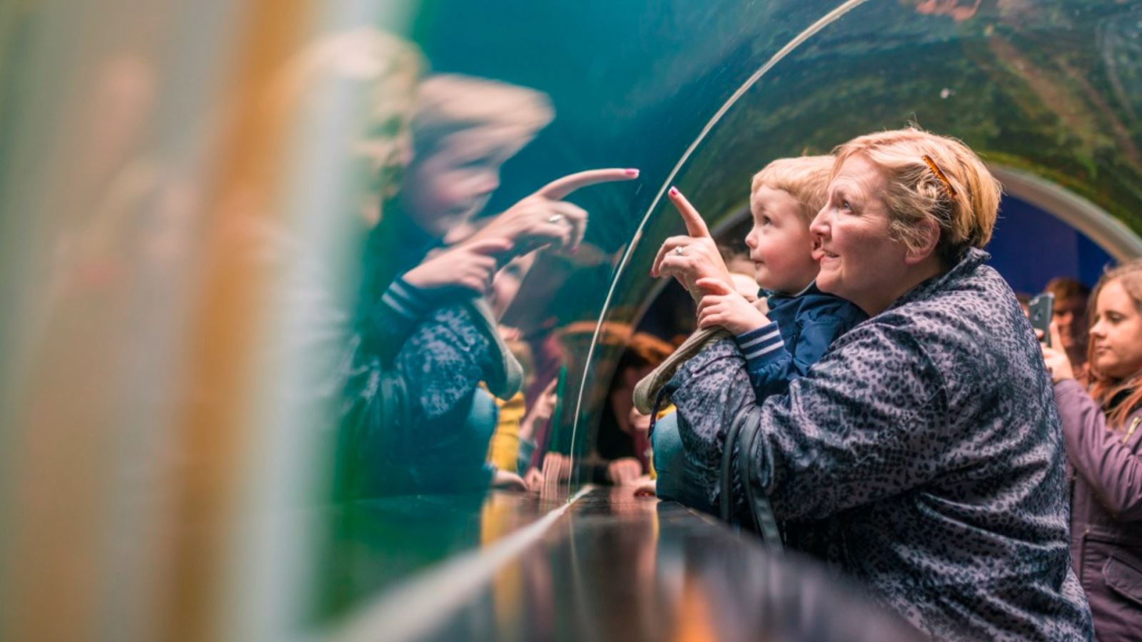 Grandmother and child watch the animals